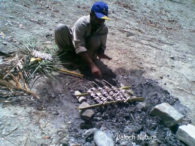 sweet water fish
کورماھیگ
kormahig
کوُرمہگ ء پچگ
کوری ماہیگانی پچگے باز وڑ انت ۔ بلے شیپک ء کنگ او پدا اشکرانی سرا پچگ یک کُوھنیں وڑ و پیمے -۔
