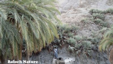 Krochi Zamoran
کروچی ءِ میتگ
Korochi e metag
کروچی زامران ءِ کسانین میتگ ءِ ۔ اے اکس یمے کروچین مچّانی انت کہ اے جاگہ نام کپتگ ۔ ادا شیپ ءِ لمب ءَ یک کانی ءِ کہ شیپ ءِ آپ ءِ ھراب نکنگے واستہ سیمنٹ کتگ کہ چہ ڈول آپ کش انت۔ 

