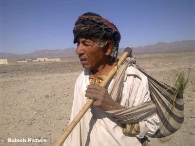 A Baloch face
بلوچ دروشُم
Baloch Droshom
اے  واجہیں بلوچ ءَ دزمال سرا انت ، تپر کوپگ ءَ انت ، وتی دلوتانی واستہ چتگیں کاہ بڈا انت، پُشتی نیمگ ءَ بلوچانی بان بادگیر ءُ بلوچستان ءِ سُرمگیں کوہ پدّر ءُ زاھر انت ۔ مردے دیم ءِ کرچک ءُ لنٹانی ھُشکی ءَ چہ زانگ بیت۔ کہ سیریں سرزمین بلوچستان ءِ مردم چنکس غریب ءُ لاچار انت۔

