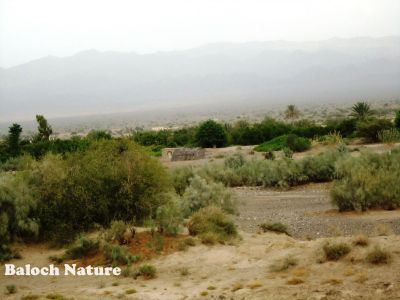 A landscape of Balochistan
لاکی مشکے
Laki Mashkay

