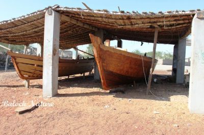 Boat building shelter
لانچ ء کارجاہ
Lanch e karjah
بلوچستان ءَ اے لانچانی کارجاہ انت ، بزاں فیکٹری۔ ادا زندے ہچ پیمیں آسرات نیست انت، دارتراش وتی ازباباں وتی ہمرائیا کاریت ءُ کار کنت پدا وتی ہمرائیا بارت گوں او لانچانی ڈبّانی چیر ا کُچک وپتگ انت۔ ادا ہنچو مالوم بیت کہ بلوچ راج تنیگا سنگانی دور ءَ زند گوازینگا انت۔ 

