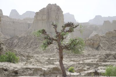 Landscape of Balochistan
بلوچستان ء ندارگ
Balochistan e Nadarag
بلوچستان ء کوہانی نداراگ باز ڈولدار انت ۔ اے اکس ہم بلوچستان کوھانی یک ڈولدار تریں جاھاں چہ یکے
