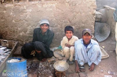 Fisher boys
ماہیگی
Mahigi
اے کسانیں زھگ کہ وھد ہمیش انت کہ اسکول ءَ بتین انت بلے اے پسنی نہادی ءَ ماھیگ بہا کن انت ۔ 
