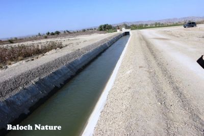 Miran e Dam left canal
میرانی ڈیم ءِ چپّی تک
Miran e Dam e chappi takk
اے میرانی ڈیم ءِ یک شت ءِ کہ آپ کشکا انت۔
