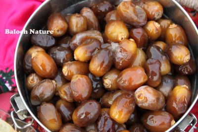 Palm Date fruits
Tarrin Naah
ترّیں ناہ
بلوچستان ءَ میوہ باز انت بلے ناہ ءِ مٹ نہ بنت ۔ بلوچستان ءَ وھدیکہ آمین بیت گڈا آ ھند ءُ دمگانی مردم دلوت مُرگ ءُ مور دراہ سیر بنت ۔ بلے دگہ میوہانی موسم ءَ ہمک سیر نہ بنت ۔ ناہ درست وش انت بلے تریں ناہ  ءِ بستار ءِ دگر انت ۔
