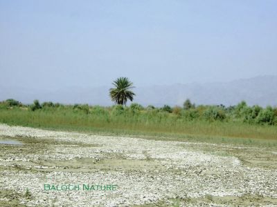 A look of Balochistan
اے بلوچستان انت
Ay Balochistan ant
بلوچستان ءَ اے وڑیں ہزارانی ندارگ است ، قدرت ءَ بلوچستان ءِ پٹ ءُ گیابان ، کور ءُ کوہ کور، کہن ءُ شہجو، کوہ ءُ مات بند یا زر بہ بیت کہ تیاب دراہ چارگ کرز انت ۔ اے اکس ہوت آباد کیچ ءِ چہ نہنگ کور ءَ شہرے چیر ءَ زپت کتگ ۔ 
