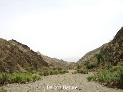 Balochistan's scene 
کوہ کور
Koh koar
اے کوہ کورے ھلاسی انت پرچا چہ دور ءَ دُہمی کوہ زاھر انت۔ بلوچستان ءِ یک کوہ ءِ کہ ھلاس بیت پدا دُہمی کوہ یا مات بند بنگیج بیت، باز چہ دور ءَ پا چہ نزیک نزیک بنگیج بنت ۔
