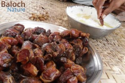 Date & Liban
Nah o Shillanch
ناہ و شیلّانچ
ناہ و شیلانچ بلوچانی یک دائمی وراک ء بوتگ بلے مرچاں بلوچستان ء ناہ دست کپیت بلے شیلانچ دست نہ کپیت ، آئیے سوب مالداری بستار کم بوتگ - پرچا کہ شیلانچ چہ دوگیں شیر ء جوڑ بیت - ناہ و شیر وشتام انت بلے اگاں ساپیں روگن شیلانچانی سرا پر کنگ بہ بیت گڈا وراگ ء انگتہ وشتر بیت
