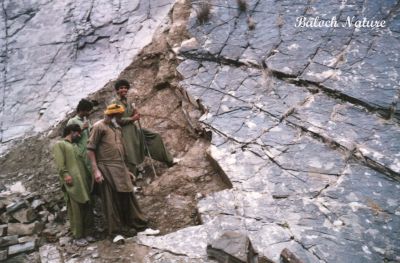 Help your self
نلونج زامران
Nalonj Zamoran
بیا پدا شتکیں تلارانی دل ءَ درراں کنیں ۔۔۔ سید ظہورشاہ
بلوچ   یک  جُہد کنوکیں راج ءِ  ۔ بلوچ ءَ مدام وتی کار وتی کوپگاں زرتگ ، اے مردماں ہشر  کتگ او سُرمگیں تلار ڈک کتگ ءُ گاڈی ءِ راہ کتگ ۔ اے ایشانی تپاکی ءُ جہدے برکت بوتگ۔ اگاں بلوچ تپاک بہ بنت دگہ شرتریں کار پہ وتا کُرت کن انت ۔ 
