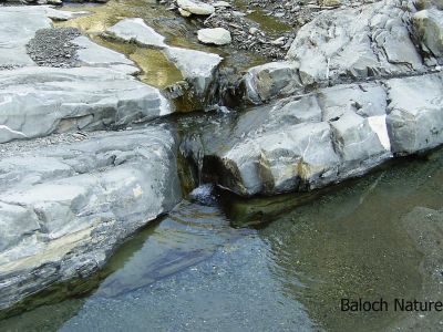 Spring water of Balochistan
Sangartagen Aap
سنگرتگیں آپ گوڈی در کیچ
آپ قدرت ء داتگیں یک سوگات ء - بے آپ ء ہچ ساہ دار زندگ بوت نہ کنت - ہمے سوب انت کہ آپ ہر چیزا زند دنت -  بلوچستان ء ہور کم بوگے سوب ء آپ کم انت - بلے بلوچ کوہ آپانی ھزانہ انت - چمیشکا کم کمّا آپ چمّگانی پیم ء در کائنت - اے ہم یک انچیں آپے کہ سنگرتگ او تچاگا انت - اے وڈیں ساپ او سلّہیں آپ ہمک جاہ ء دست نہ کپیت -۔

