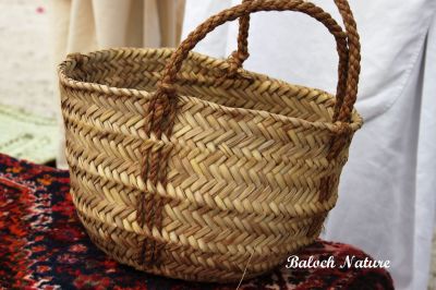 Baloch Date tray
سپتوک
Saptok
سپتوک بزان کسانین  سپت۔ اے چہ دازے پیش ءُ پات ءَ جوڈ بیت ۔ اشیا گیشتر مچ ءِ بن ءَ کار گر انت بزان مچ ءِ روپگ ءِ وھدا گورشان ءِ روپتگیں ناہ باز بنت ءُ گورشان گران بیت گڈا ناہان سپتوک ءَ مان کن انت ھوھند ءَ چہ جہل ءَ راہ دیگ بنت، ہمے ناہاں پدا سپت ءَ مان کن انت۔ سپتوک ءَ کیچ ءَ مزنیں کپات ہم گوشنت۔
