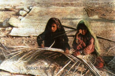 Mat weaver
Tagird e Gwapag
تگرد  گواپگ 
تگرد گواپی تنی وھدی بلوچستان ء کاروبار ء پیما است انت - بلوچستان ء باز لوگ چپ تگرد گواپیا وتی لاپا درگیج ات - تگرد چہ پیش ء جوڑ بیت - تگرد ء چہ بلوچانی کالین انت کہ وتی لوگ او کاپرے چیرا پچ کن انت او مردم سرے نند انت - تگردا چہ باز کار گر انت -۔

