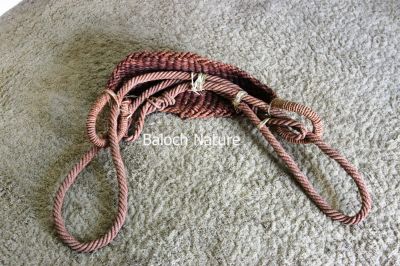 Safety Belt for Date palm
Tor
توُر
توُر ہم یک ازباب ءِ ۔ تور ایوکا پہ کسانیناں بگر تاں گڈیلیں مچّانی سرے سرکپگ ءِ واستہ انت ۔ تورءَ برے لوگے بندگ ءَ کارمرز کن انت ۔ 
