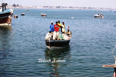 Boat on way
یکدار رہادگ انت
Yaddar rahadag ant
یکدار یا یدّار اے کسانیں لانچ ءِ کہ دریائے نزیک گوراں شکار کن انت ، اے درو شُت نہ کن انت ، اے گیشتر لانچاں وت گون انت گون ، کہ وھدے زلورت ءَ ماھوراں گیش ءُ گیوار کن انت ۔ یکدار گیشتر کم توجیلیں مردم زور انت ءُ وتی کار ءُ بار کن انت ،زردار گیشتر لانچ گرانت کہ کار ءُ بار گیشتر بیت
