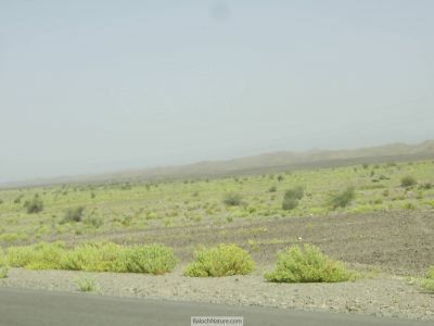 A Landscape of Balochistan
                                    بلوچستان ء ندارگ
Balochistan e Nadarag 
وھدیکہ بھارگاہ ھلاس بیت - گڈا میدان زرد  ترانت ھرنیمگا ھشک و  ویران بنت - بلے کیچ ء  اپریل ء پد تبد و لوارے درگتا ھم کلمیر  سبز و شاداب گندگ بنت - اے قدرتے یک نہ کٹوکیں سوگاتے پہ بلوچ راج ء
