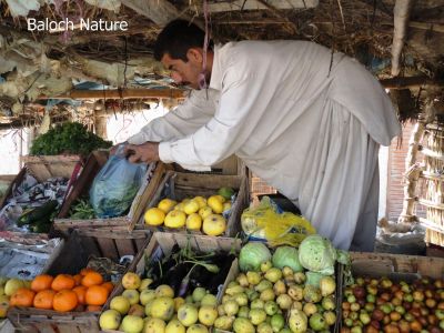 A fruit shop
بلوچانی میوہ ءِ دکان
Balochani miwa e dokan
بلوچاں تنیگا میوہاں ہچ وڑیں نیادی نیست۔ تنیگا بلوچستان ءِ گیشتر ھنداں روایتی دکان جوڑ کتگ انت۔ 

