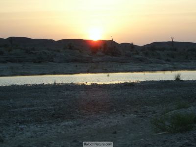 A Sunset in Balochistan
روزرد یا دیگر
ملکگول گیشتر نیاگارا  آپریچ ء روزردے ندارگے چارگ ء کینڈا روانت، بلے اے ہم منّگ بوتگ کہ بلوچستان ء جیمڑی ء روزردے ندارگ ہم بے مٹّ انت - بلے اے ندارگ خیرآباد کیچ ء چیری نیمگا کورکی ء گورم او کلیرگ ء جُمپانی میاں ء زپت کتگ

