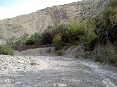 Nalonj water stream Balochistan
نلونج ء کور
Nalonj e kor
