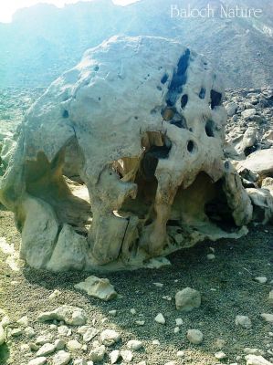 Nature Footage 
کوہ انت بلوچانی کلات
Koh ant Balochani Kalat
اے کوہ  چو انسانی سرے وڑا انت ۔ بلے اشیے توک گیشتر ھالیگ انت ۔ ایشانی توک ء رہ گواز ارام کتُ کن انت ۔  چمیشکا کوہنیں  بلوچاں '' کوہ انت بلوچانی کلات '' من گوشاں اے چہ کلاتاں کم تر نہ انت ۔ چیا کہ کلاتاں دگہ لشکر دزگیر کن انت  بلے کوہاںی دزگیر کنگ گران انت ۔
