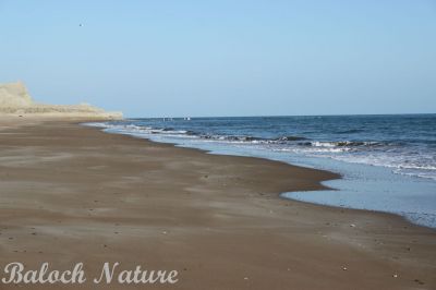 Balochistan beach
 پلگاریں تیاب دپ
 palgarin tayab dap
بلوچستان ءَ چوشیں ساپ ءُ سلہیں تیاب دپ ھزارانی ھساب ءَ است، بلے ادا زندے آسرات نہ بوّگے برابر انت۔ اے اکس پسنی ءِ زرّین ءُ جڈی ءِ میان ءَ زپت کتگ۔
