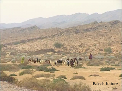 رمگ
Ramag
رمگ بلوچستان ء کوھانی زینت انت
