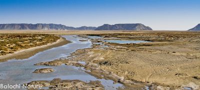 A scene of Way to Gwadar
بلوچستان ءِ ندارگ
Balochistan e nadarag
اے بلوچستان ءِ یک ڈولداریں ندارگے کہ وھدے تو گوادر ءَ روے اے ندارگ تئی وش آھت ءَ کنت ۔ اے اکس باز ڈولدا ر انت، 
اکس ءَ کشوک
جان البلوشی

