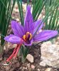 Filename=.jpg
Filesize=103KiB
Dimensions=600x717
Date added=Aug 23, 2016 .jpg