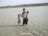 Filename=02072013635.JPG
Filesize=36KiB
Dimensions=640x480
Date added=Jul 16, 2016 02072013635.JPG