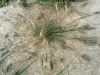 Filename=20140217_145708.jpg
Filesize=298KiB
Dimensions=1200x900
Date added=Jul 14, 2014 20140217_145708.jpg