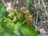 20140414_094433.jpg