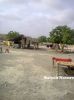 Filename=Balochi_Metag.jpg
Filesize=265KiB
Dimensions=1100x1467
Date added=Jul 25, 2012 Balochi_Metag.jpg