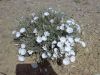 Filename=Balochi_Pole.jpg
Filesize=755KiB
Dimensions=2048x1536
Date added=May 04, 2010 Balochi_Pole.jpg