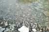 Filename=Balochi_pogol_1.jpg
Filesize=222KiB
Dimensions=1248x832
Date added=Jul 30, 2010 Balochi_pogol_1.jpg