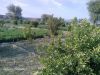 Filename=Garden.jpg
Filesize=381KiB
Dimensions=1333x1000
Date added=Nov 17, 2012 Garden.jpg