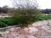 IMG-20130818-00162.jpg