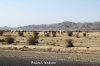 Filename=IMG_3625.JPG
Filesize=234KiB
Dimensions=1350x900
Date added=Feb 20, 2014 IMG_3625.JPG