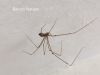 Filename=IMG_4911.JPG
Filesize=102KiB
Dimensions=1600x1200
Date added=Nov 29, 2017 IMG_4911.JPG