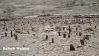 Filename=Kabristan4.JPG
Filesize=474KiB
Dimensions=1776x1000
Date added=Jul 20, 2012 Kabristan4.JPG