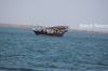 Filename=Lanch_o_zirr_1842.JPG
Filesize=177KiB
Dimensions=1800x1200
Date added=Dec 04, 2011 Lanch_o_zirr_1842.JPG