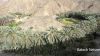Filename=Mach_sabzachk_ant.JPG
Filesize=472KiB
Dimensions=1954x1100
Date added=Sep 26, 2012 Mach_sabzachk_ant.JPG