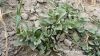 Filename=Naam_664.JPG
Filesize=264KiB
Dimensions=1599x900
Date added=Feb 09, 2013 Naam_664.JPG