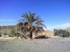 Filename=Nadarag.jpg
Filesize=413KiB
Dimensions=1467x1100
Date added=Nov 19, 2012 Nadarag.jpg