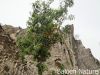 Filename=Parpok4.JPG
Filesize=259KiB
Dimensions=1333x1000
Date added=Sep 23, 2012 Parpok4.JPG
