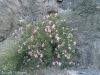 Filename=Photo0062.jpg
Filesize=324KiB
Dimensions=1200x900
Date added=May 09, 2016 Photo0062.jpg