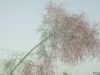 Filename=SHINGER_bor_ent.JPG
Filesize=417KiB
Dimensions=2048x1536
Date added=Jan 11, 2011 SHINGER_bor_ent.JPG