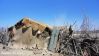Filename=choll_in_kolaho_00565.JPG
Filesize=312KiB
Dimensions=1776x1000
Date added=Aug 15, 2013 choll_in_kolaho_00565.JPG