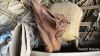 Filename=inzak_tich_gichin_00715.JPG
Filesize=227KiB
Dimensions=1599x900
Date added=May 19, 2014 inzak_tich_gichin_00715.JPG
