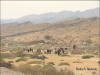 Filename=vlcsnap-2016-02-06-13h01m50s173.png
Filesize=390KiB
Dimensions=640x480
Date added=Jul 12, 2016 vlcsnap-2016-02-06-13h01m50s173.png