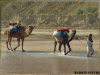 vlcsnap-2016-02-06-13h04m01s194.png