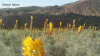 Filename=vlcsnap-2017-08-25-10h38m50s841.png
Filesize=1329KiB
Dimensions=1280x720
Date added=Sep 18, 2017 vlcsnap-2017-08-25-10h38m50s841.png